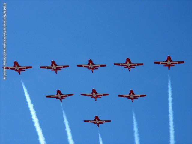 0596-Snowbirds